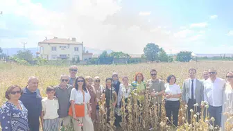 Kuşadalı kadınlar Isparta yolunda haşhaş hasadına katıldı