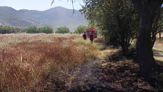 Bucak'ta beş dönümlük tarla kül olmaktan son anda kurtuldu