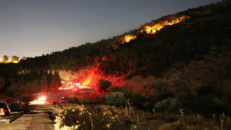 İzmir Bornova'da orman yangını paniği