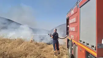 Bingöl Genç’teki araziler alevlere teslim oldu