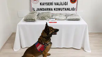 Kayseri jandarmasından uyuşturucu operasyonu