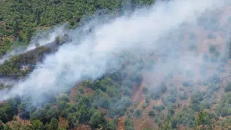 Adana Feke’de orman yangını başladı