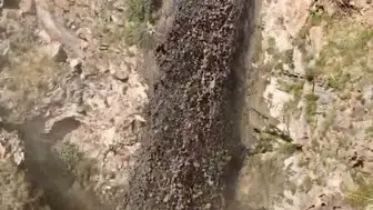 Ağrı Dağı'nda eriyen karlar yamaçlardan çamur akıtıyor