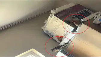 Siirtli kadının evindeki beklenmedik misafir oda kurdu