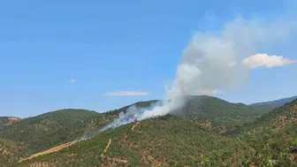 Burhaniye alevlerle üç buçuk saat mücadele etti