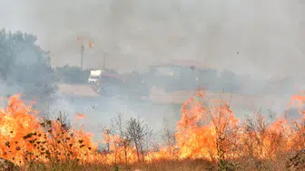 Antalya ormanlarında dumanlar yükseldi