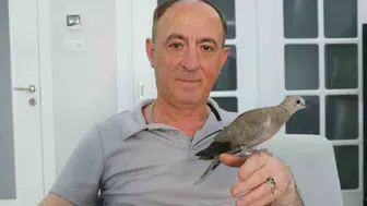 Sivaslı Murat Koldaş kargaların elinden aldığı yavru kumruyu hayata döndürdü