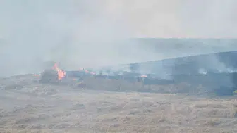 Traktörden çıkan kıvılcım tarlayı kül etti