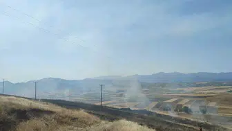 Elazığ’da rüzgarın taşıdığı alevler 40 dönüm arpayı yok etti
