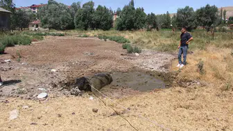 Sivas Zara sokaklarında iki saatlik boğa kovalamacası