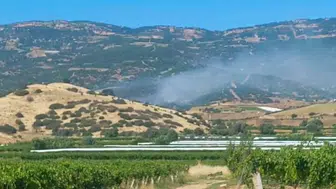 Manisa Sarıgöl'de ormanlık alanda yangın paniği