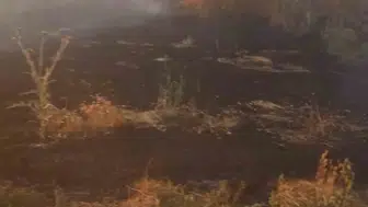 Şuhut'ta anız yangını korkuttu