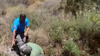 Bodrum’da büyük yangını başlatan olay Kendini yakmak istedi