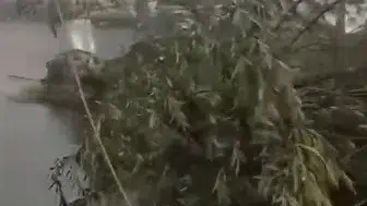 Kars'ta şiddetli fırtına hayatı felç etti