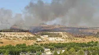 Şanlıurfa Karaköprü’de orman yangını paniği