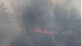ODTÜ ormanında korkutan yangın büyümeden durduruldu