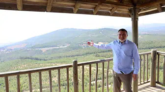 İzmir ormanlarında kül olan alanların akıbeti belli oldu