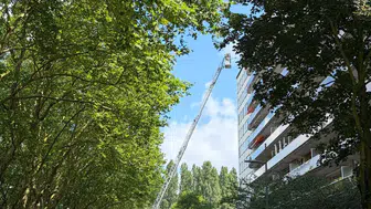 Belçika'da bir apartman dairesinde çıkan yangın paniğe yol açtı