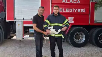 Çorumda yuvasında çaresiz kalan leyleğin imdadına itfaiye yetişti