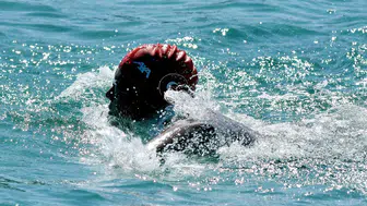 Tuna Tunca dünyanın en zorlu parkurunda kulaç atacak