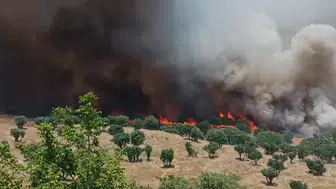 Diyarbakır yangınlarla boğuşuyor iki ayda 100 bin hektar alan yandı