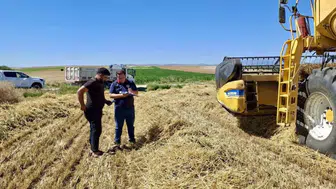 Afyonkarahisar tarlalarında hummalı hasat mesaisi başladı