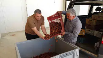 Malatyalı kayısı üreticisine lisanslı depo çağrısı