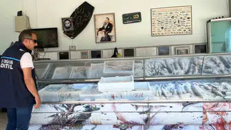 Didim restoranlarında taze balık denetimi