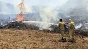 Osmaniye'de tarla temizliği yangını ormana sıçradı