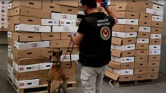Kapıkule'de dondurulmuş tavuk sevkiyatında yarım ton uyuşturucu yakalandı