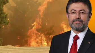 Bakan Yumaklı duyurdu: Üç ildeki orman yangınlarında alevler dizginlendi