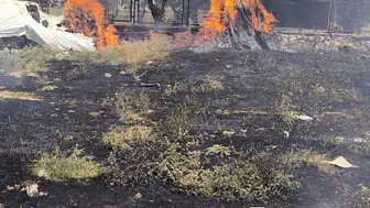 Siirt Kurtalan'da bahçe yangını evlere sıçramadan söndürüldü