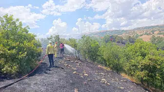 Bingöl ormanlarında çıkan yangına ekipler anında müdahale etti