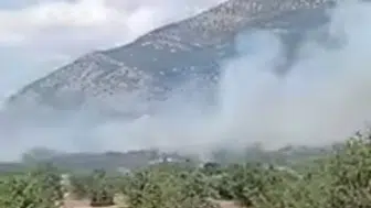 Acıpayam ormanlarında korkutan yangın büyümeden söndürüldü