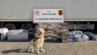 Hatay'da nakliye tırına gizlenmiş 3 bin karton kaçak sigara yakalandı