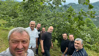 Trabzon'da fındık rekoltesini belirlemek için sahaya indiler