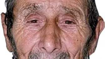 Samsun'da ağaç keserken üzerine devrilen yaşlı adam yaşamını yitirdi