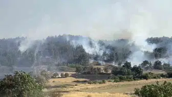 Balıkesir Altıeylül’de orman yangını paniği