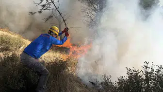 Gömeç yangını üç gündür sönmüyor