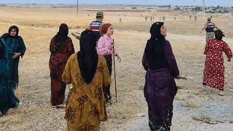 Akçakale'de pamuk tarlasında hesaplaşma