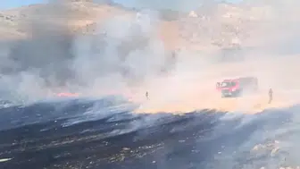 Nallıhan'da korkutan otluk yangını kontrol altına alındı