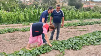 Afyon’da tarlalar mercek altında