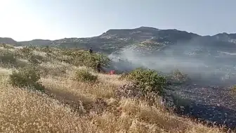 Dicle kırsalında alevler rüzgarla büyüdü