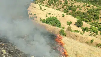 Malatya Doğanyol'da orman yangını paniği