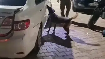 Kuzey Marmara Otoyolu'nda uyuşturucu sevkiyatına suçüstü