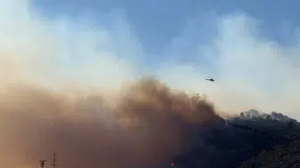 Çanakkale Ayvacık’ta orman yangını paniği