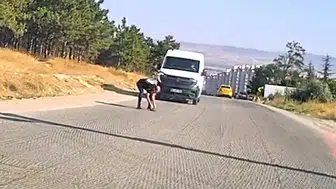 Eskişehir trafiğinde kaplumbağa kurtarma operasyonu