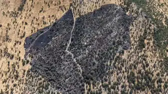Kulp kırsalında alevler 50 dönümü küle çevirdi