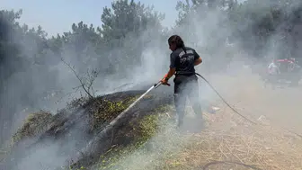 Aydın’da 8 günde 445 yangın paniği