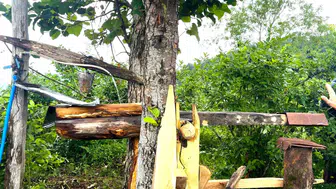 Rize’de ayıları korkutan geleneksel çözüm
